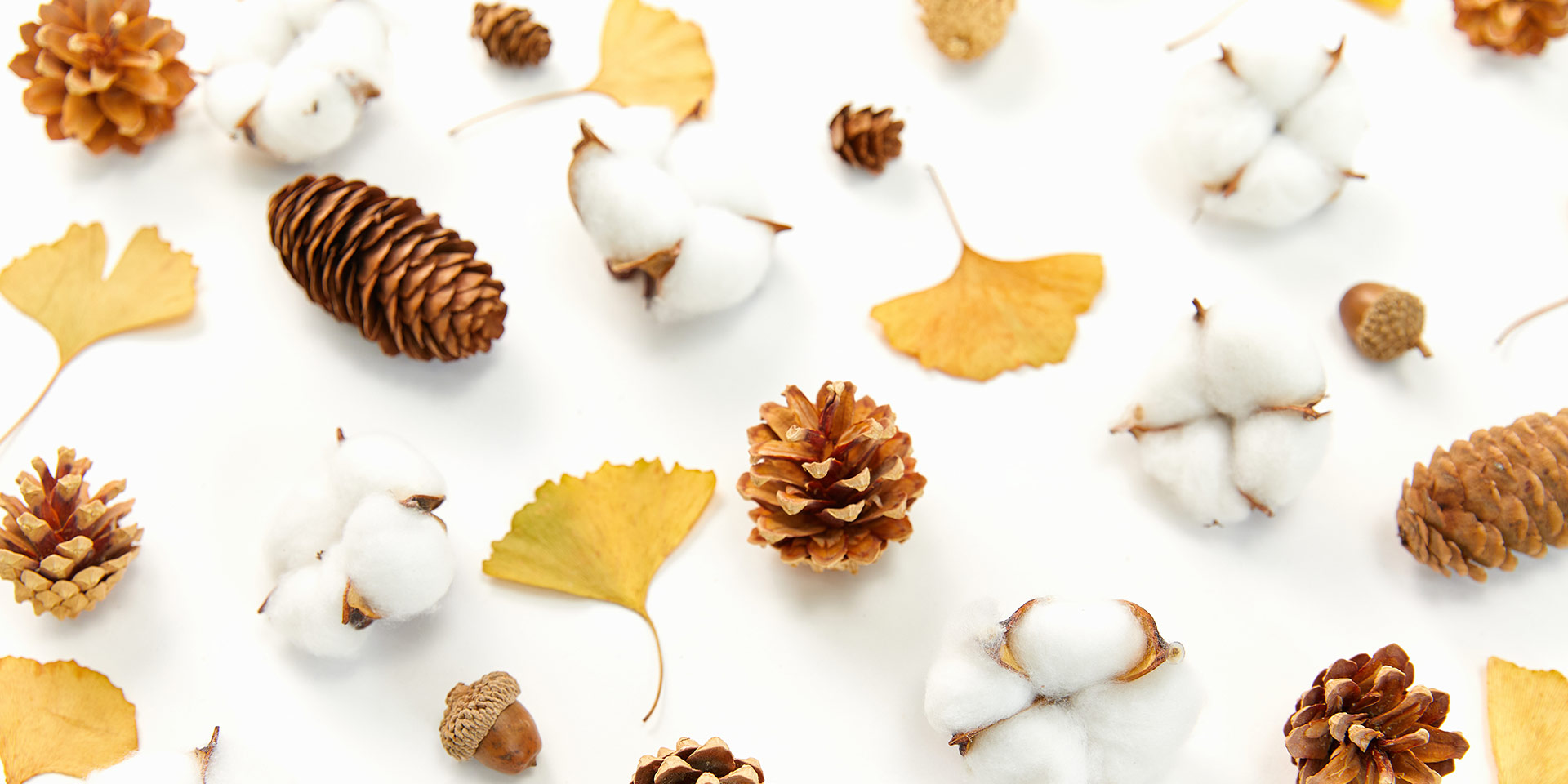 sfondo autunnale